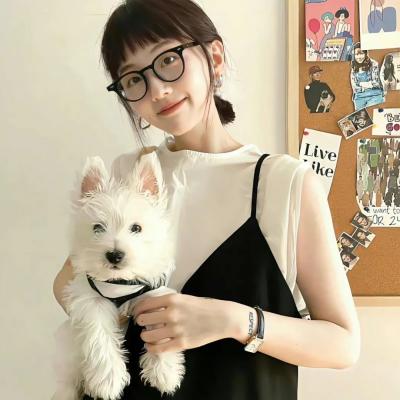 潮汐来信电视剧海报
